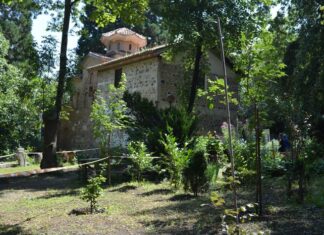 Boyana Church