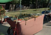 Flea Market Pictures