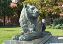 Lost Solder Pictures