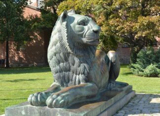 Lost Solder Pictures