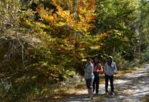 Rila National Park Pictures