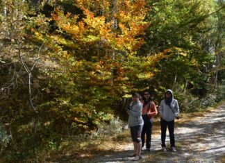 Rila National Park Pictures