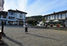 Tryavna