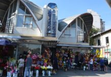 Womens Market Pictures