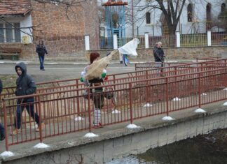 Bulgarian Carnival Traditions Kukeri and Masquerade Festivals