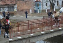 Discover Bulgaria’s Ethno-Folk Festivals and Local Music