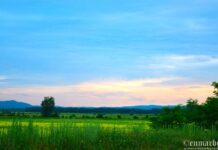 Exploring Bulgaria’s Medieval Fortresses