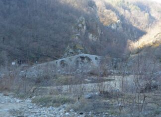 Wine Tasting Tours in Bulgarian Vineyards