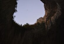 Cultural Festivals in Bulgaria Worth Visiting