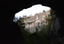 What Currencies Are Accepted in Bulgaria?