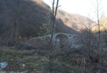 Can I Use Public Transport in Bulgarian Cities?