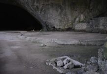 How Do I Rent a Car in Bulgaria?