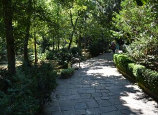 Adventure Sports in the Bulgarian Mountains