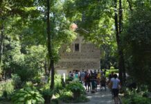 Local Markets and Crafts to Discover