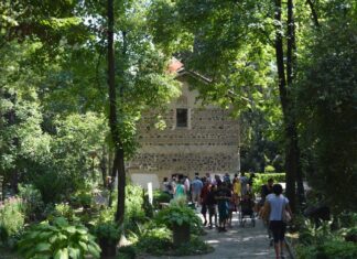 Local Markets and Crafts to Discover