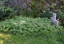 Scenic Hiking Trails in the Bulgarian Mountains