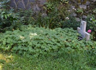 Scenic Hiking Trails in the Bulgarian Mountains