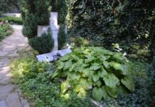 Best Wine Regions to Explore in Bulgaria