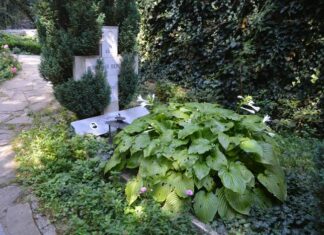 Best Wine Regions to Explore in Bulgaria