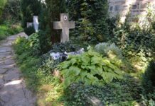 Family-Friendly Activities Across Bulgaria