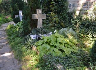 Family-Friendly Activities Across Bulgaria