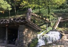 Solo Travel in Bulgaria for an Independent and Rewarding Adventure